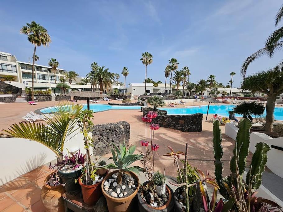 Apartamento Taisa Playa Roca Costa Teguise Zewnętrze zdjęcie